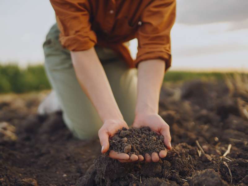 La mano de una agricultora sostiene un puñado de tierra fertil ya labrada por agricultura los mochuelos