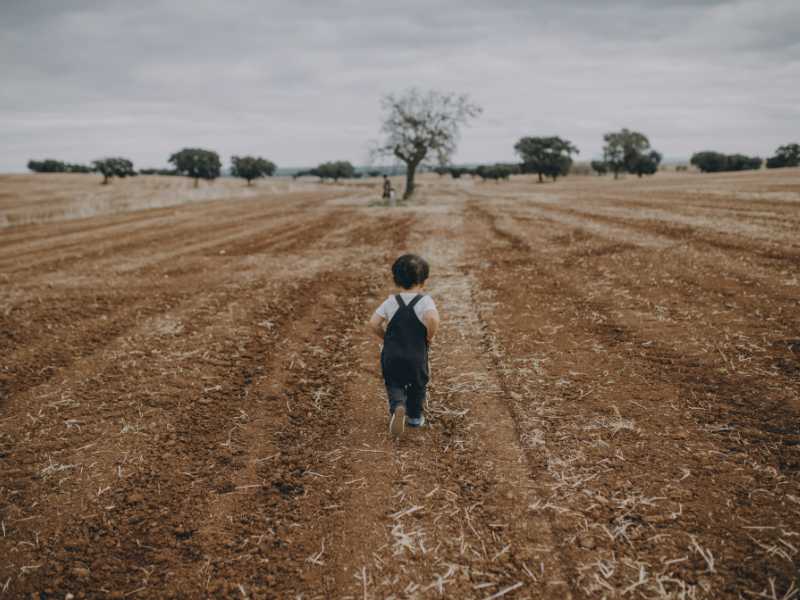 Historia de los mochuelos CB empresa de agricultura. Los mocuelos, sobre nosotros.