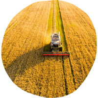 Cultivo de forrajes y siega de cultivos